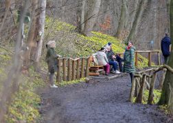 Winterlinge  Gelbe Pracht In Jena 2024 19